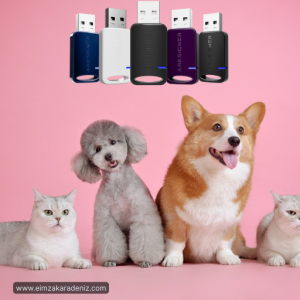 Mikroçip uygulanan evcil kedi görseli