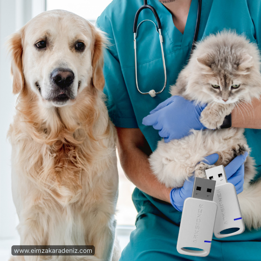 Ordu’daki veteriner kliniğinde muayene olan evcil hayvan görseli